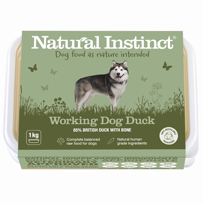Working Dog Duck