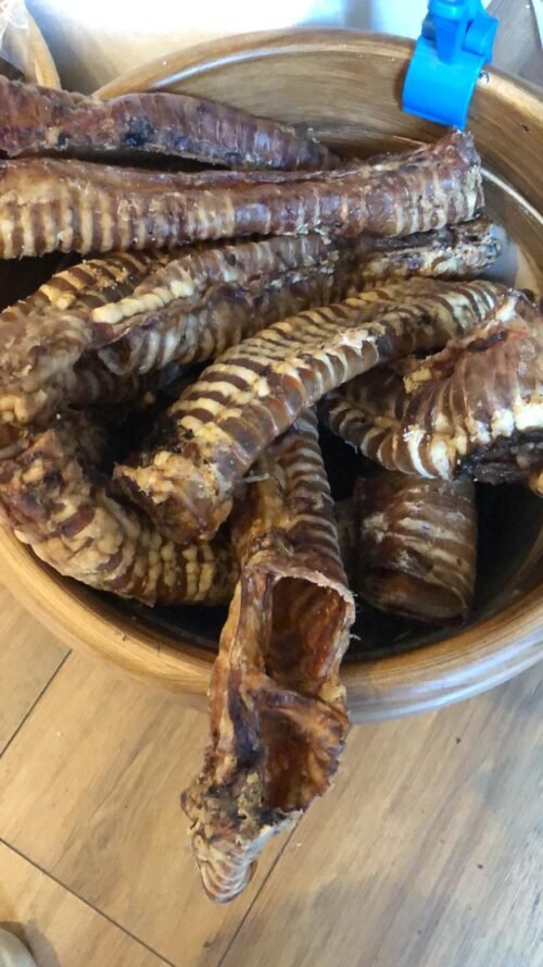 Whole Dried Trachea