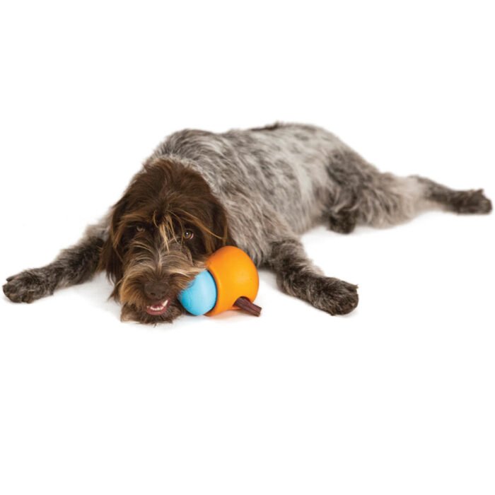 West Paw Zogoflex Toppl - Image 6