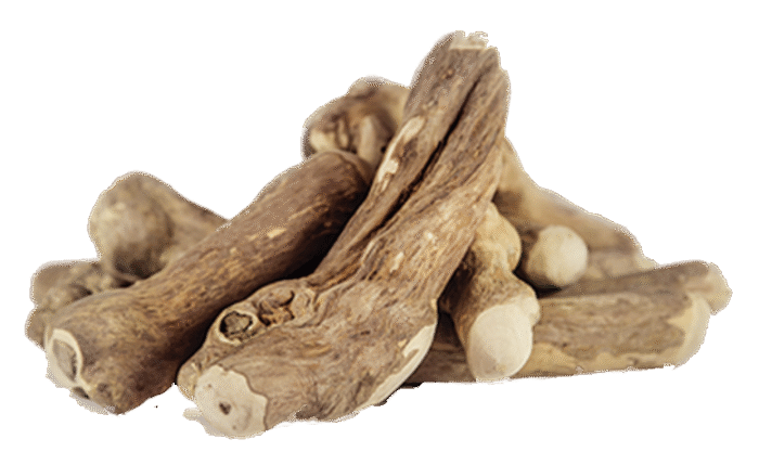 GoodWood Chewable Stick - Image 2