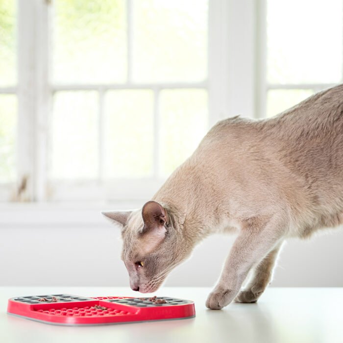 LickiMat SLOMO Feeder Mat Red - Image 3