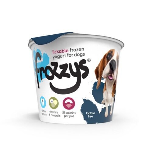 Frozzys Frozen Yoghurt - Blueberry Flavour - Individual Pot