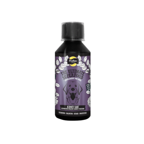 Proflax Kidney Care