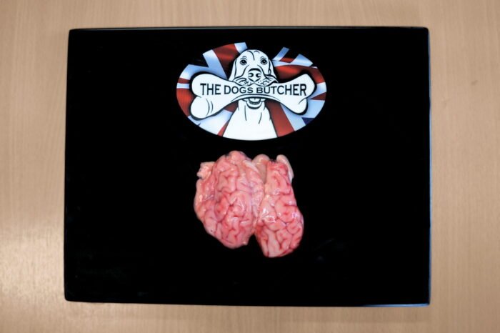 The Dogs Butcher Lamb brains