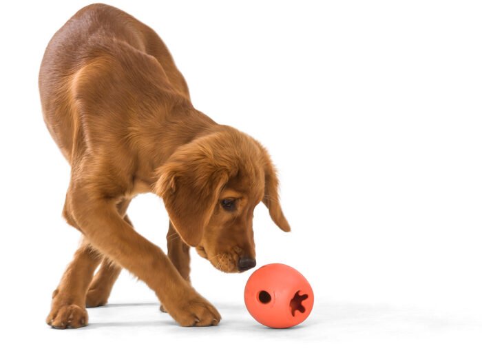 West Paw Rumbl Treat Toy - Image 3