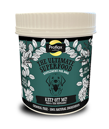 getoffmeyouhorridfleas