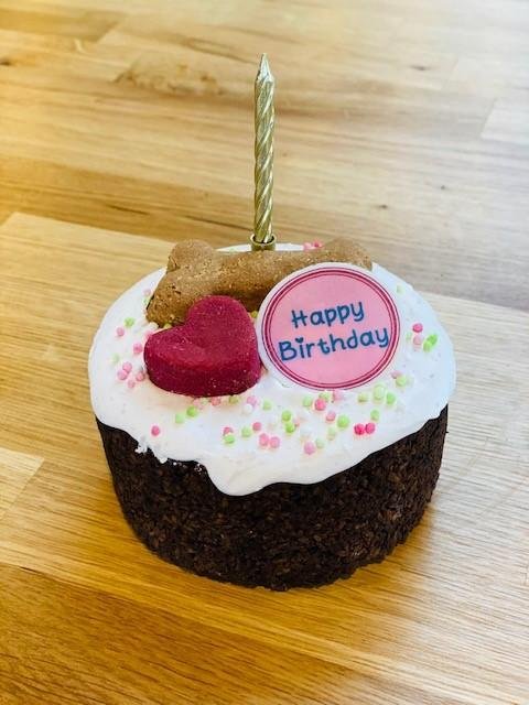 Life of Riley Dog Birthday Ccake